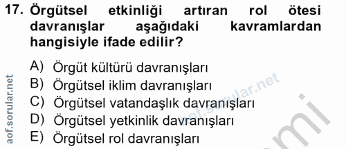 17. soru: Örgütsel etkinliği artıran rol ötesi davranışlar aşağıdaki kavramlardan hangisiyle ifade edilir? A) Örgüt kültürü dav…