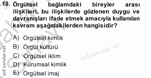 18. soru: Örgütsel bağlamdaki bireyler arası ilişkileri, bu ilişkilerde gözlenen duygu ve davranışları ifade etmek amacıyla kul…