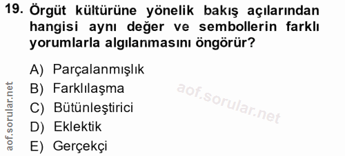 19. soru: Örgüt kültürüne yönelik bakış açılarından hangisi aynı değer ve sembollerin farklı yorumlarla algılanmasını öngörür?…