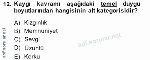 12. soru: Kaygı kavramı aşağıdaki temel duygu boyutlarından hangisinin alt kategorisidir? A) Kızgınlık B) Memnuniyet C) Sevgi D…