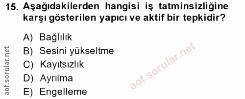 15. soru: Aşağıdakilerden hangisi iş tatminsizliğine karşı gösterilen yapıcı ve aktif bir tepkidir? A) Bağlılık B) Sesini yükse…