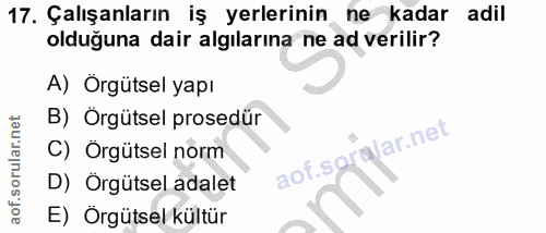 17. soru: Çalışanların iş yerlerinin ne kadar adil olduğuna dair algılarına ne ad verilir? A) Orgütsel yapı B) Örgütsel prosedü…