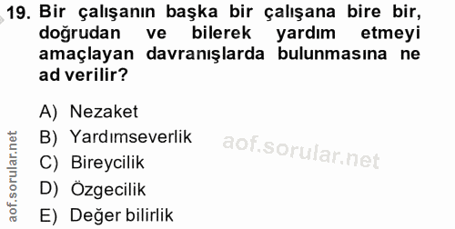 19. soru: Bir çalışanın başka bir çalışana bire bir, doğrudan ve bilerek yardım etmeyi amaçlayan davranışlarda bulunmasına ne a…