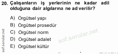 20. soru: Çalışanların iş yerlerinin ne kadar adil olduğuna dair algılarına ne ad verilir? A) Orgütsel yapı B) Örgütsel prosedü…