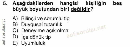 5. soru: Aşağıdakilerden hangisi kişiliğin beş büyük boyutundan biri değildir? A) Bilinçli ve sorumlu tip B) Duygusal tutarlıl…