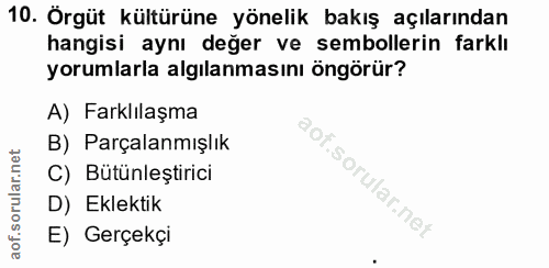 10. soru: Örgüt kültürüne yönelik bakış açılarından hangisi aynı değer ve sembollerin farklı yorumlarla algılanmasını öngörür?…