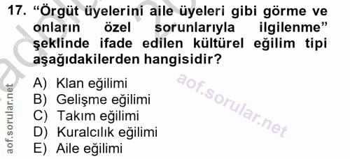 17. soru: "Örgüt üyelerini aile üyeleri gibi görme ve onların özel sorunlarıyla ilgilenme" şeklinde ifade edilen kültürel eğili…