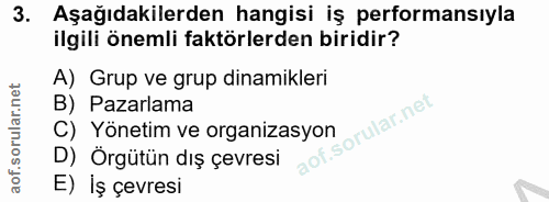 3. soru: Aşağıdakilerden hangisi iş performansıyla ilgili önemli faktörlerden biridir? A) Grup ve grup dinamikleri B) Pazarlam…