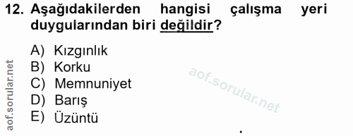 12. soru: Aşağıdakilerden hangisi çalışma yeri duygularından biri değildir? A) Kızgınlık B) Korku C) Memnuniyet D) Barış E) Üzüntü