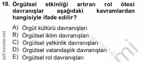 18. soru: Örgütsel etkinliği artıran rol ötesi davranışlar aşağıdaki kavramlardan hangisiyle ifade edilir? A) Örgüt kültürü dav…