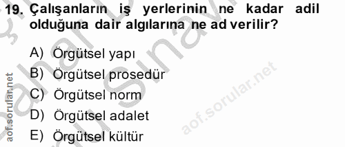 19. soru: 19, Çalışanların iş yerlerinin ne kadar adil olduğuna dair algılarına ne ad verilir? A) Orgütsel yapı B) Örgütsel pro…
