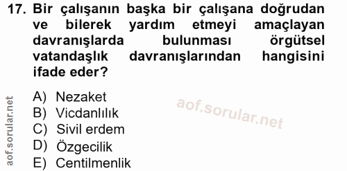 17. soru: Bir çalışanın başka bir çalışana doğrudan ve bilerek yardım etmeyi amaçlayan davranışlarda bulunması örgütsel vatanda…