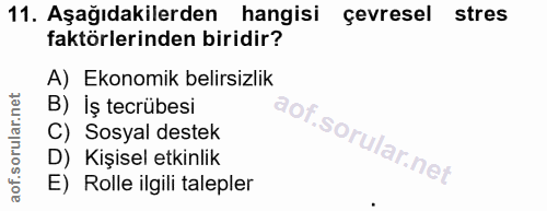 11. soru: Aşağıdakilerden hangisi gevresel stres faktörlerinden biridir? A) Ekonomik belirsizlik B) Iş tecrübesi C) Sosyal dest…