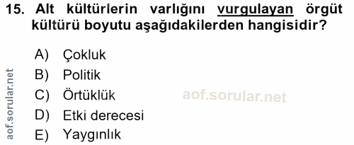 15. soru: Alt kültürlerin varlığını vurgulayan örgüt kültürü boyutu aşağıdakilerden hangisidir? A) Çokluk B) Politik C) Örtüklü…