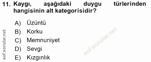 11. soru: Kaygı, aşağıdaki duygu türlerinden hangisinin alt kategorisidir? A) Uzüntü B) Korku C) Memnuniyet D) Sevgi E) Kızgınlık