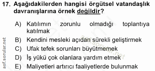 17. soru: Aşağıdakilerden hangisi örgütsel vatandaşlık davranışlarına örnek değildir? A) Katılımın zorunlu olmadığı toplantıya…