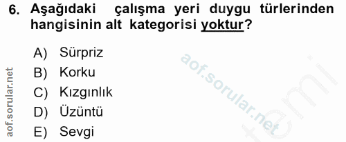 6. soru: Aşağıdaki çalışma yeri duygu türlerinden hangisinin alt kategorisi yoktur? A) Sürpriz B) Korku C) Kızgınlık lof. D) Ü…