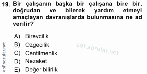 19. soru: Bir çalışanın başka bir çalışana bire bir, doğrudan ve bilerek yardım etmeyi amaçlayan davranışlarda bulunmasına ne a…