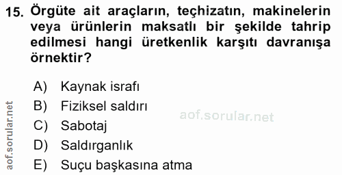 15. soru: Örgüte ait araçların, teçhizatın, makinelerin veya ürünlerin maksatlı bir şekilde tahrip edilmesi hangi üretkenlik ka…