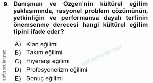 9. soru: Danışman ve Özgen'nin kültürel eğilim yaklaşımında, rasyonel problem çözümünün, yetkinliğin ve performansa dayalı tef…