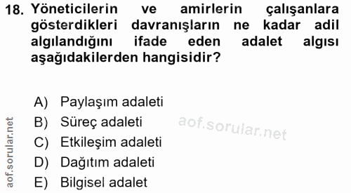 18. soru: Yöneticilerin ve amirlerin çalışanlara gösterdikleri davranışların ne kadar adil algılandığını ifade eden adalet algi…