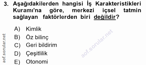 3. soru: Aşağıdakilerden hangisi İş Karakteristikleri Kuramı'na göre, merkezi içsel tatmin sağlayan faktörlerden biri değildir…