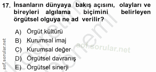 17. soru: İnsanların dünyaya bakış açısını, olayları ve bireyleri algılama biçimini belirleyen örgütsel olguya ne ad verilir? A…