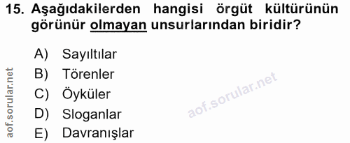 15. soru: Aşağıdakilerden hangisi örgüt kültürünün görünür olmayan unsurlarından biridir? A) Sayıltılar B) Törenler C) Öyküler…