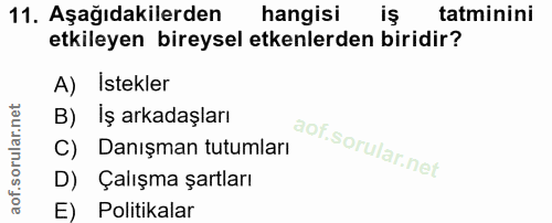 11. soru: Aşağıdakilerden hangisi tatminini etkileyen bireysel etkenlerden biridir? A) Istekler Iş arkadaşları C) Danışman tutu…