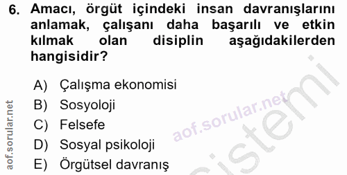 6. soru: Amacı, örgüt içindeki insan davranışlarını anlamak, çalışanı daha başarılı ve etkin kılmak olan disiplin aşağıdakiler…