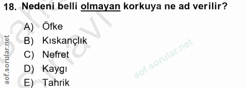 18. soru: Nedeni belli olmayan korkuya ne ad verilir? A) Öfke B) Kıskançlık C) Nefret D) Kaygi E) Tahrik