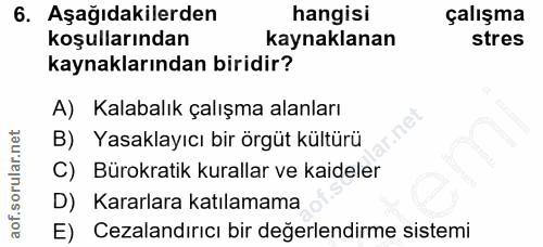 6. soru: Aşağıdakilerden hangisi çalışma koşullarından kaynaklanan stres kaynaklarından biridir? A) Kalabalık çalışma alanları…