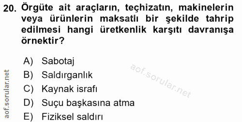 20. soru: Örgüte ait araçların, teçhizatın, makinelerin veya ürünlerin maksatlı bir şekilde tahrip edilmesi hangi üretkenlik ka…