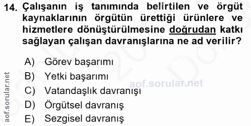 14. soru: Çalışanın iş tanımında belirtilen ve örgüt kaynaklarının örgütün ürettiği ürünlere ve hizmetlere dönüştürülmesine doğ…