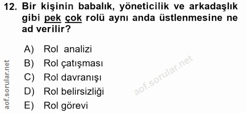 12. soru: Bir kişinin babalık, yöneticilik ve arkadaşlık gibi pek çok rolü aynı anda üstlenmesine ne ad verilir? A) Rol analizi…