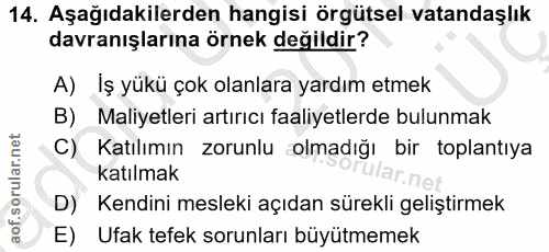 14. soru: Aşağıdakilerden hangisi örgütsel vatandaşlık davranışlarına örnek değildir? A) İş yükü çok olanlara yardım etmek B) M…