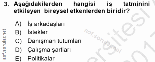 3. soru: Aşağıdakilerden hangisi tatminini etkileyen bireysel etkenlerden biridir? A) Iş arkadaşları ites B) İstekler aof. sor…