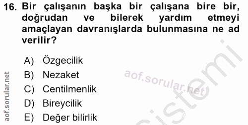 16. soru: Bir çalışanın başka bir çalışana bire bir, doğrudan ve bilerek yardım etmeyi amaçlayan davranışlarda bulunmasına ne a…