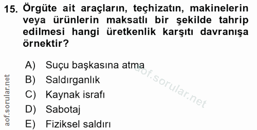 15. soru: Örgüte ait araçların, teçhizatın, makinelerin veya ürünlerin maksatlı bir şekilde tahrip edilmesi hangi üretkenlik ka…