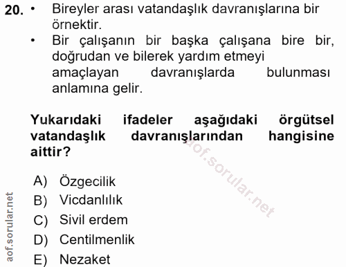20. soru: • Bireyler arası vatandaşlık davranışlarına bir örnektir. Bir çalışanın bir başka çalışana bire bir, doğrudan ve bile…