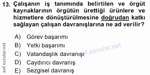 13. soru: Çalışanın iş tanımında belirtilen ve örgüt kaynaklarının örgütün ürettiği ürünlere ve hizmetlere dönüştürülmesine doğ…