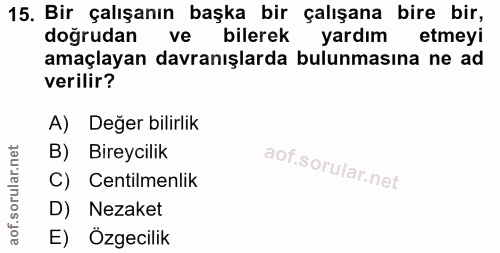 15. soru: Bir çalışanın başka bir çalışana bire bir, doğrudan ve bilerek yardım etmeyi amaçlayan davranışlarda bulunmasına ne a…