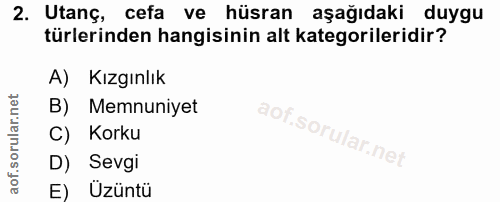 2. soru: Utanç, cefa ve hüsran aşağıdaki duygu türlerinden hangisinin alt kategorileridir? A) Kızgınlık B) Memnuniyet C) Korku…