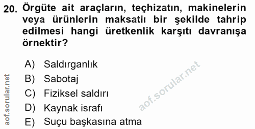 20. soru: Örgüte ait araçların, teçhizatın, makinelerin veya ürünlerin maksatlı bir şekilde tahrip edilmesi hangi üretkenlik ka…