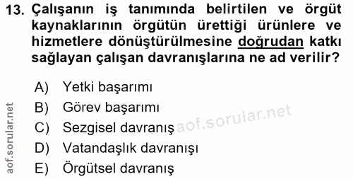 13. soru: Çalışanın iş tanımında belirtilen ve örgüt kaynaklarının örgütün ürettiği ürünlere ve hizmetlere dönüştürülmesine doğ…