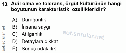 13. soru: Adil olma ve tolerans, örgüt kültürünün hangi boyutunun karakteristik özellikleridir? A) Durağanlık B) Insana saygı C…