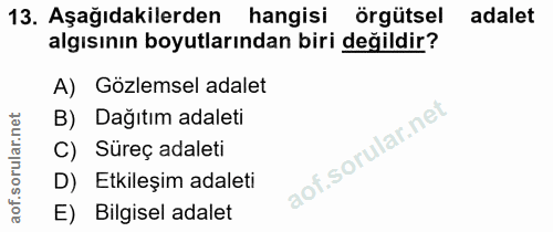 13. soru: Aşağıdakilerden hangisi örgütsel adalet algısının boyutlarından biri değildir? A) Gözlemsel adalet B) Dağıtım adaleti…