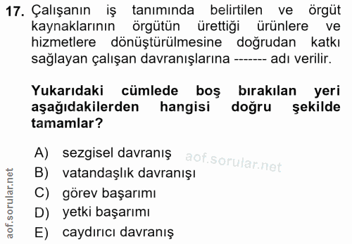17. soru: Çalışanın iş tanımında belirtilen ve örgüt kaynaklarının örgütün ürettiği ürünlere ve hizmetlere dönüştürülmesine doğ…