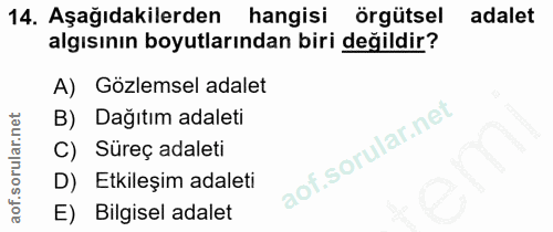 14. soru: Aşağıdakilerden hangisi örgütsel adalet algısının boyutlarından biri değildir? A) Gözlemsel adalet B) Dağıtım adaleti…