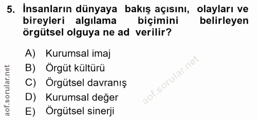 5. soru: İnsanların dünyaya bakış açısını, olayları ve bireyleri algılama biçimini belirleyen örgütsel olguya ne ad verilir? A…